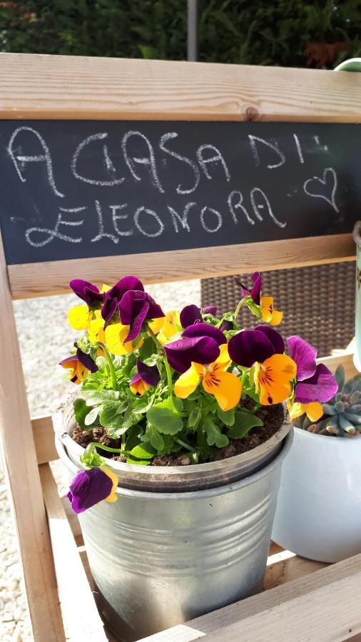 B&B A Casa Di Eleonora Villafranca di Verona Εξωτερικό φωτογραφία